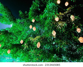 A tree with lights from it