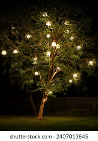 Tree with lights. Big Tree in the temple
