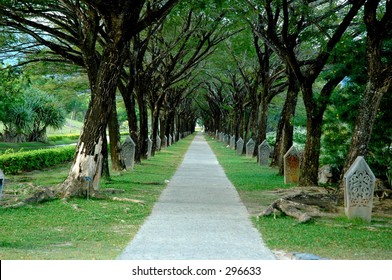Tree line