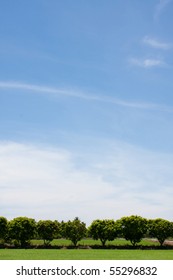 Tree Line In The Field On The Blue Sky.