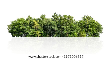 tree line isolate on white background
