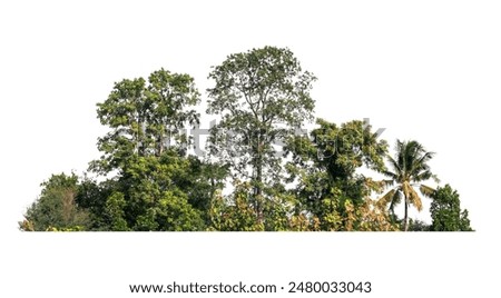 tree line isolate on white background