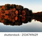 Tree line mirror water scape with water fowl