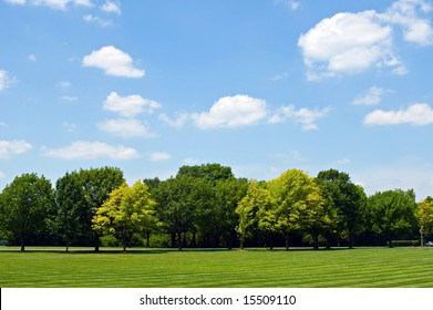 Tree Line With Sky
