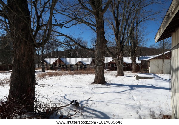 Tree Lined Abandoned Cabins Winter Season Stock Photo Edit Now