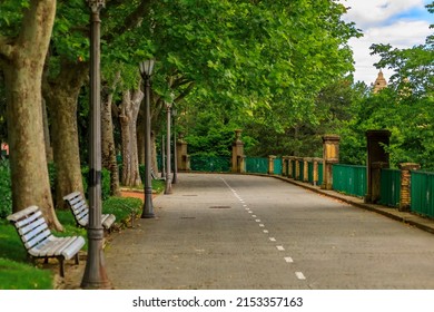 Tree Lined Alley In The Media Luna Park Leading Up To The Cathedral Of Pamplona, Navarra, Spain Town Famous For The Running Of The Bulls