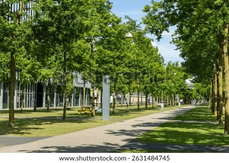 the tree lined avenue in Eindhoven High Tech Campus