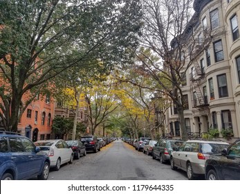 Tree Lined Brooklyn Street In Park Slope Neighborhood