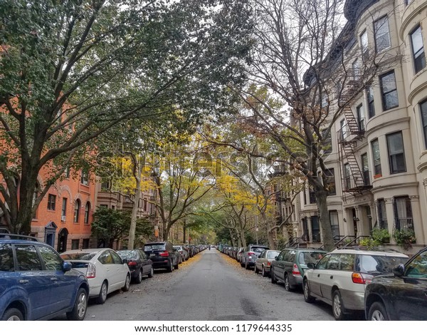 Tree\
lined Brooklyn street in Park Slope\
neighborhood