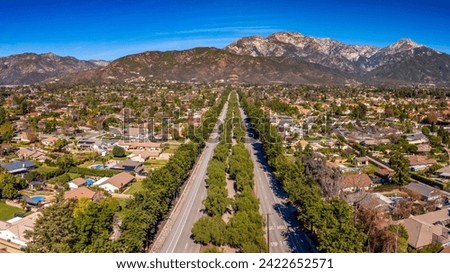 Tree lined Euclid Ave in Ontario California