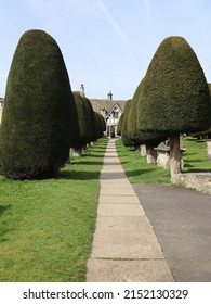 Tree Lined Graveyard in The Costwolds.  Beautiful Graveyard Path