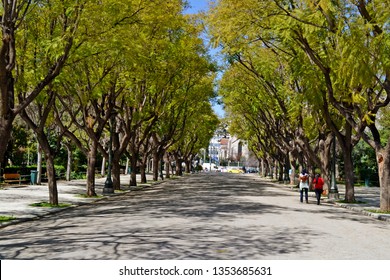 Tree Lined Road Near Zappeion In Athens' National Garden.