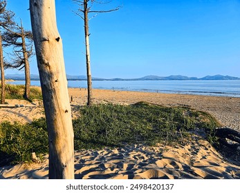 Tree lined sandy beach with mountain backdrop