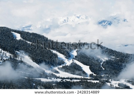 Tree lined ski slopes, whistler mountain resort, venue of the 2010 winter olympic games, british columbia, canada, north america