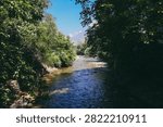 A tree lined stream flanked by dense green foliage, opening to a hazy mountain silhouette and a transmission tower in the far distance likely a garden setting in the Kashmir valley