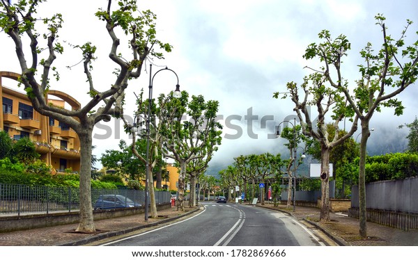 Tree lined street in\
Naples, Italy