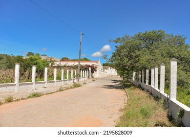 Tree Lined Street With Old Houses
