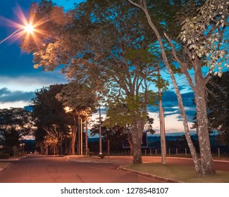 
Tree Lined Street On A Summer Night