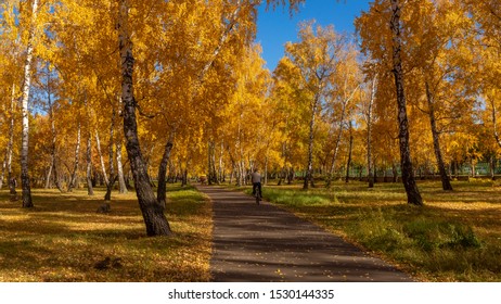 Tree Lined Street In  Park Omsk, Autumn Season