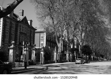 Tree Lined Street With Several Houses And A Few Cars In Central London, England, UK