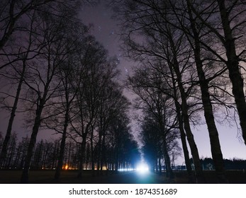 Tree Lined Street And Star