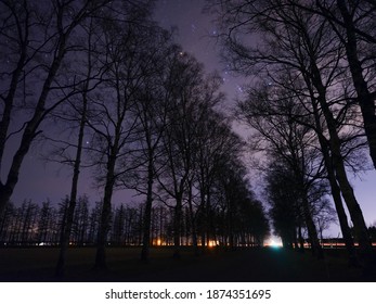 Tree Lined Street And Star