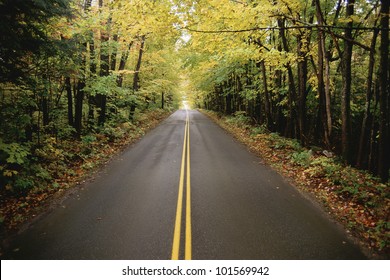 Tree Lined Two Lane Highway, New England