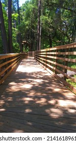 Tree Lined Wooden Walkway Path Deeper Into The Woods On This Nature Trail. Background. 