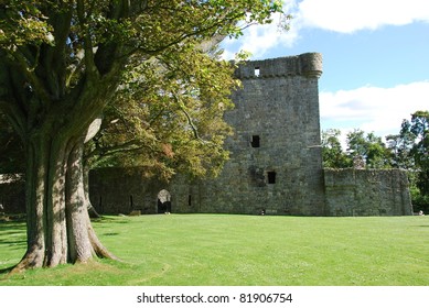 Tree At Loch Leven Castle