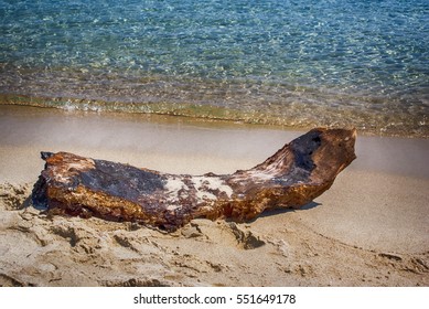 Tree log on the beach