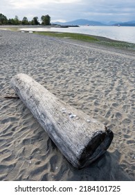 Tree Log On Jericho Beach In Vancouver BC, Canada