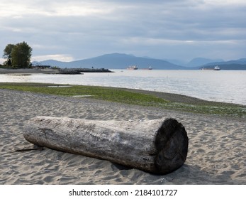 Tree Log On Jericho Beach In Vancouver BC, Canada