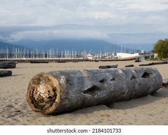 Tree Log On Jericho Beach In Vancouver BC, Canada