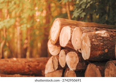 Tree logs in the forest. Stack of chopped woods stack