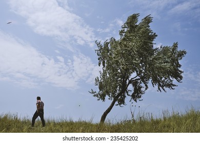 tree and man