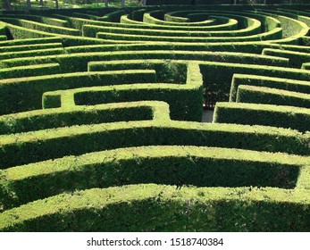 Tree maze section viewed from above on a sunny day                                - Shutterstock ID 1518740384