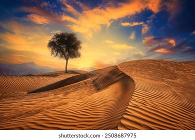 A tree in the middle of the golden sand in the deserts of the Sultanate of Oman on the Arabian Peninsula - Powered by Shutterstock