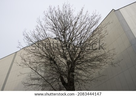 Similar – Image, Stock Photo street art