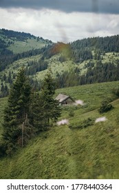 A tree with a mountain in the background