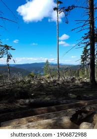 The Tree And The Mountain Rage Behind.