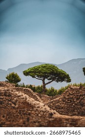Tree with a mountainous background and ancient brick wall in Pompei.
