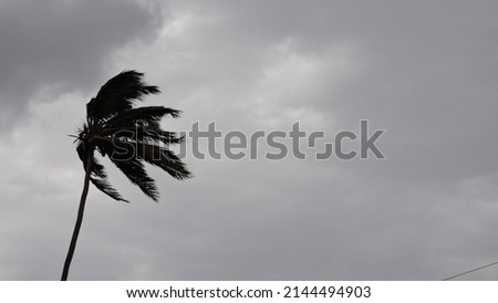 Tree moving in the strom