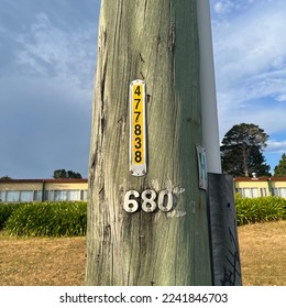 the tree with the number