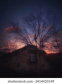 tree, oldhouse, sunset, evening, landscape, sky, darkcolours, dramatic 