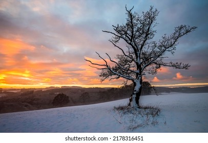 A tree on the background of a winter dawn. Winter dawn landscape. Beautiful sunrise in winter. Winter sunrise view - Shutterstock ID 2178316451