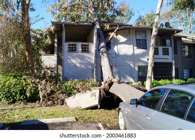 Tree On Building Roof And Damage From Hurricane Tropical Storm