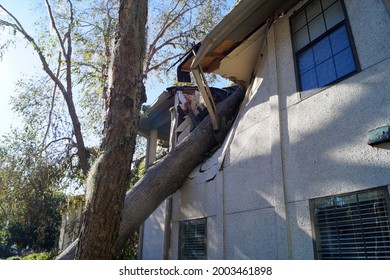 Tree On Building Roof And Damage From Hurricane Tropical Storm