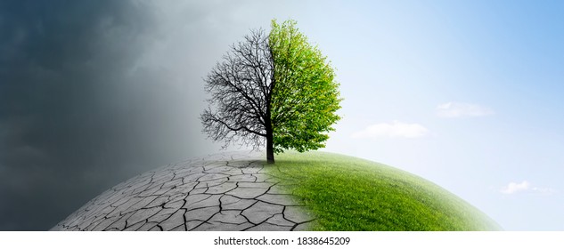 Tree on a globe in climate change