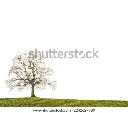 Similar – Foto Bild Ruheplatz Natur Pflanze