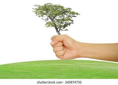 Tree on hand with isolate background.